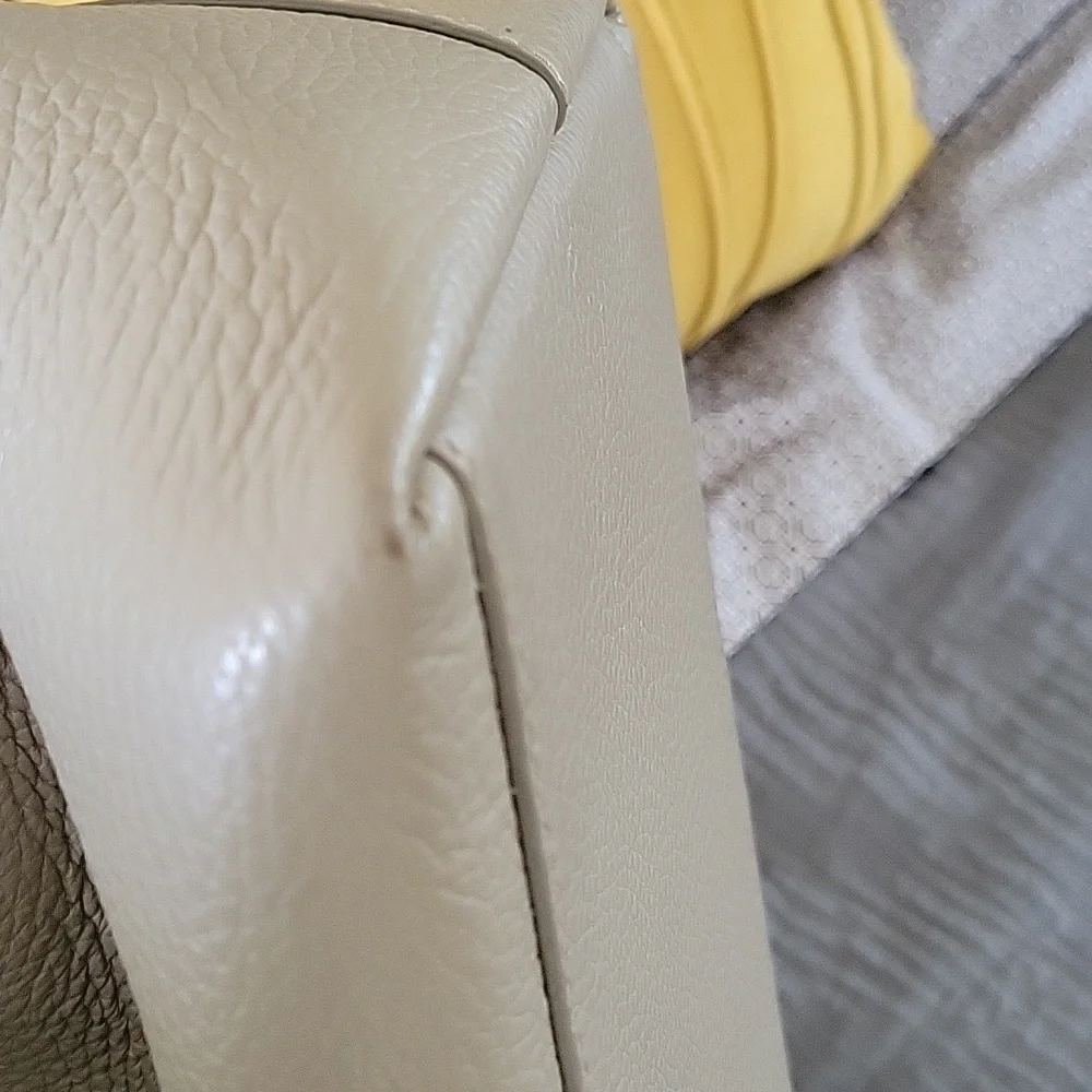 Cuyana Taupe Pebble Leather Tote